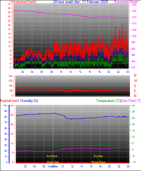 24 Hour Graph for Day 11