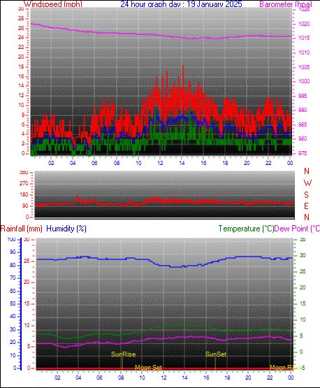 24 Hour Graph for Day 19