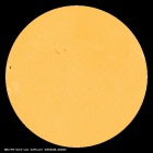 SDO/HMI Continuum Image of the Sun